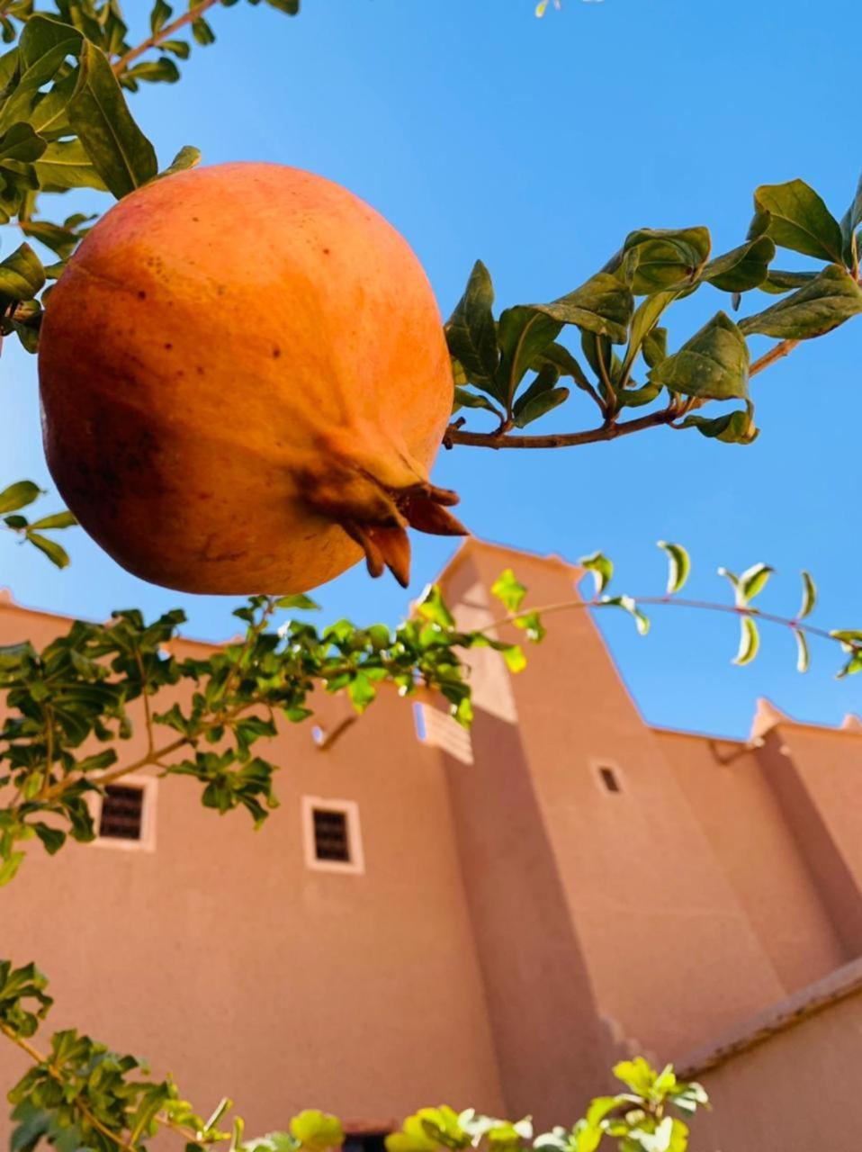 La Perle De Saghro Hotel Nkob